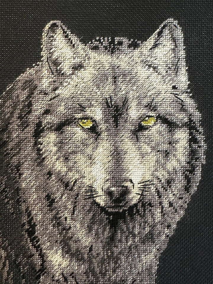 Alpha R2187 Counted Cross Stitch Kit