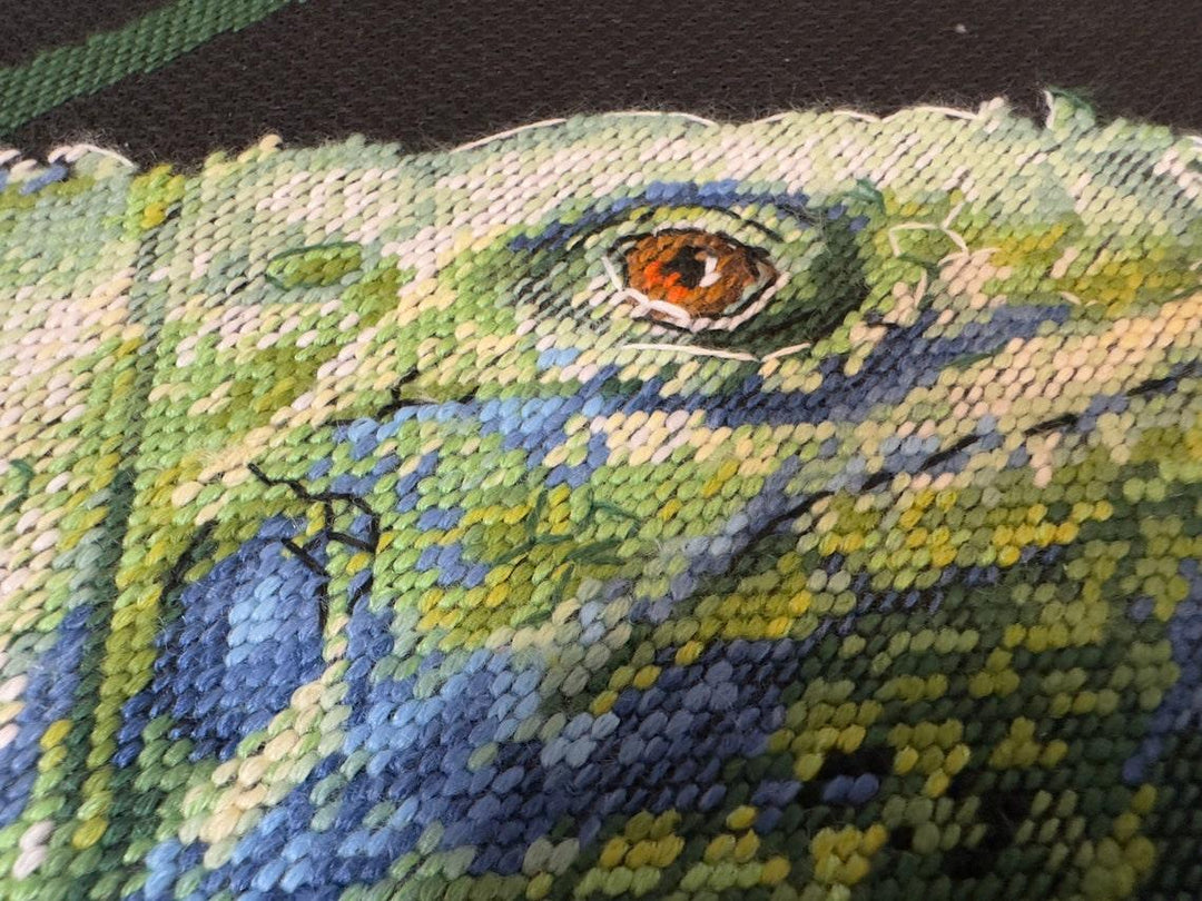 Iguana R2192 Counted Cross Stitch Kit