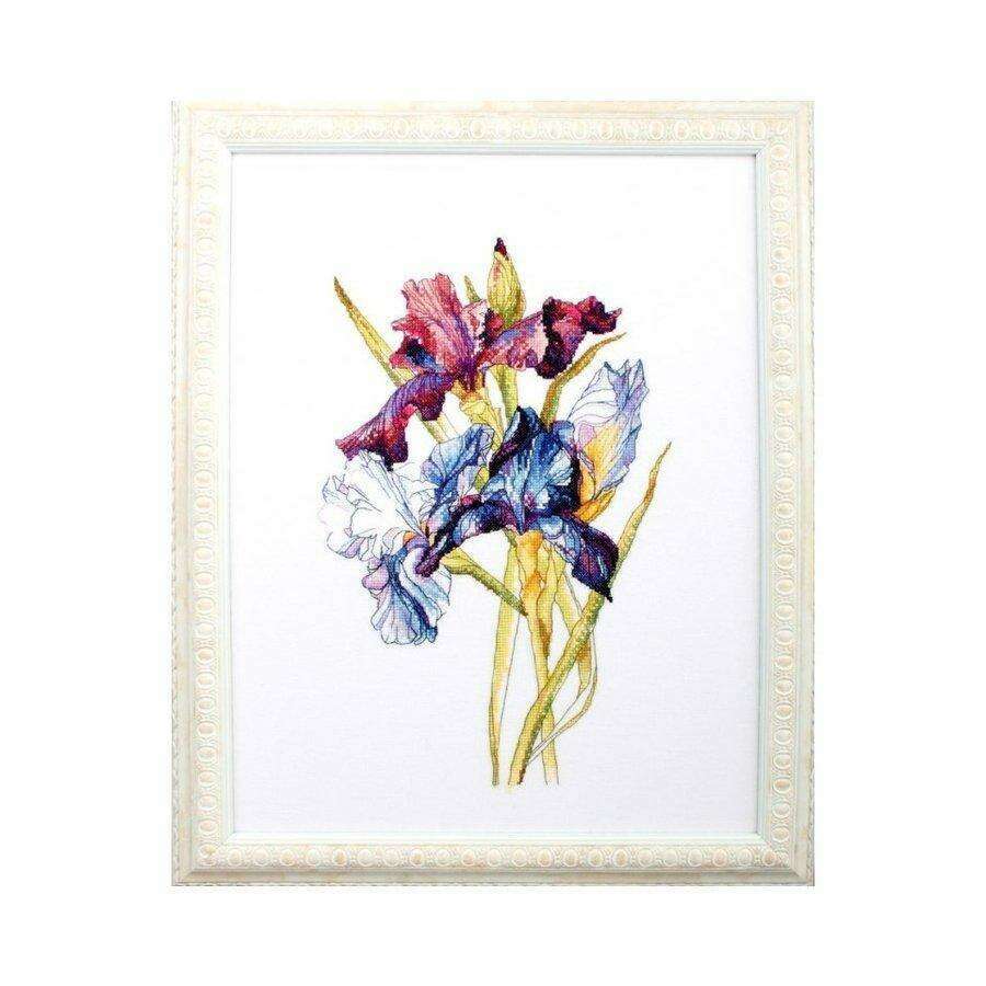 Irises rainbow M580 Counted Cross Stitch Kit