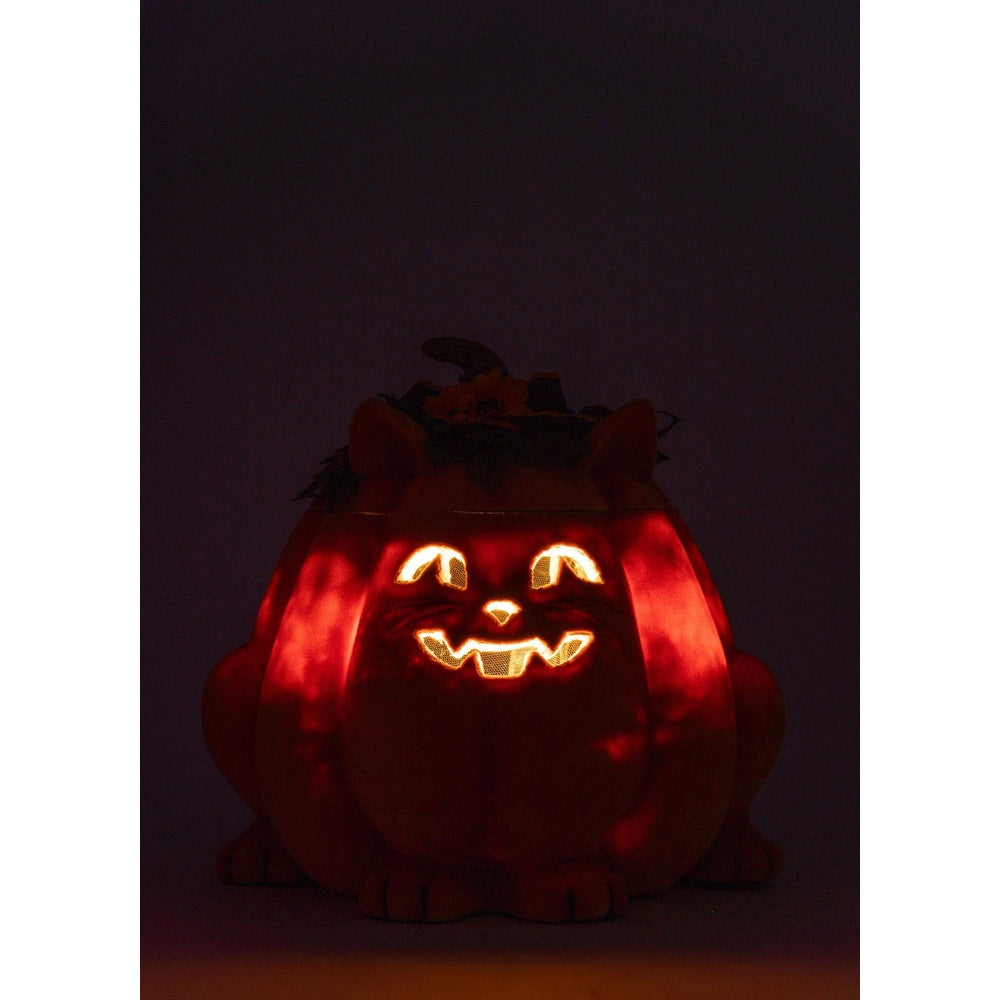 Jackie The Kitty Cat Pumpkin Candy Container by Katherine's Collection  5