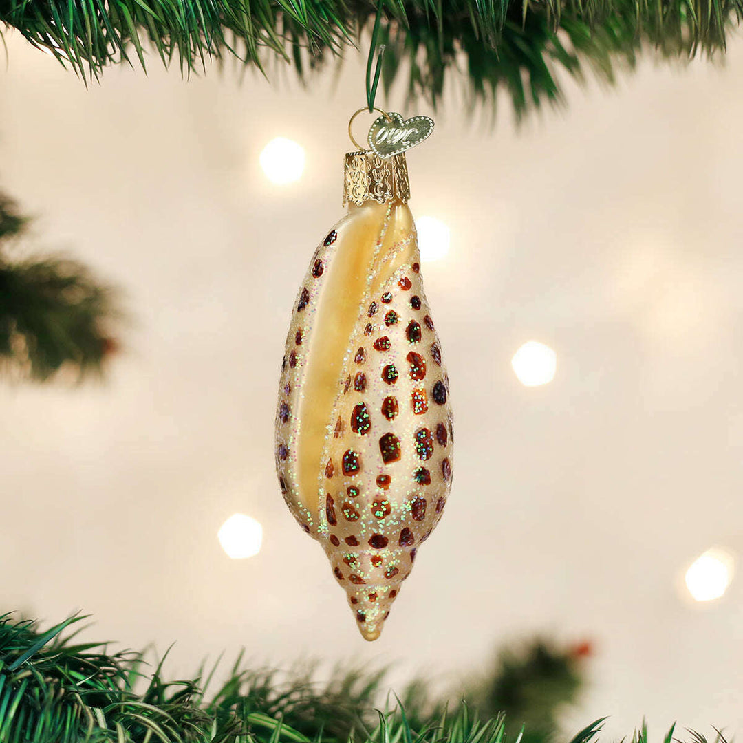 Old World Christmas Junonia Shell Blown Glass Ornament