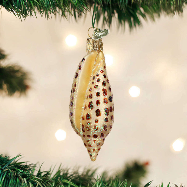 Old World Christmas Junonia Shell Blown Glass Ornament