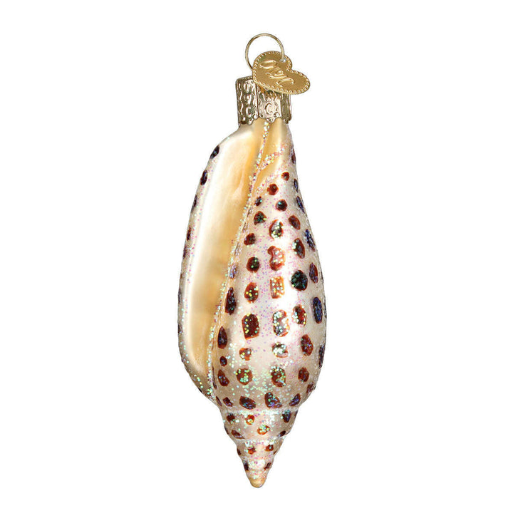 Old World Christmas Junonia Shell Blown Glass Ornament
