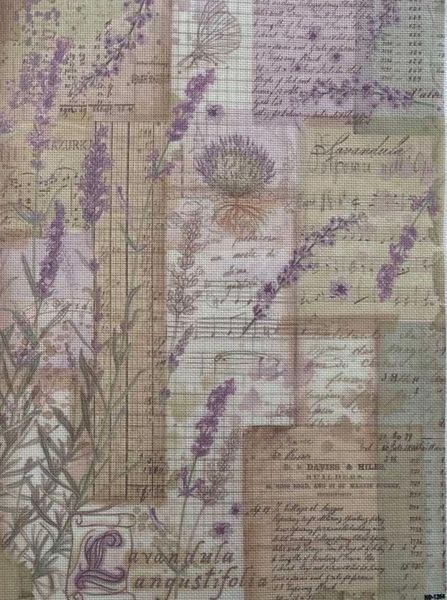 Vintage Echo Designer Printed AIDA Fabric. Canvas for embroidery with an applied background  KF-1264A