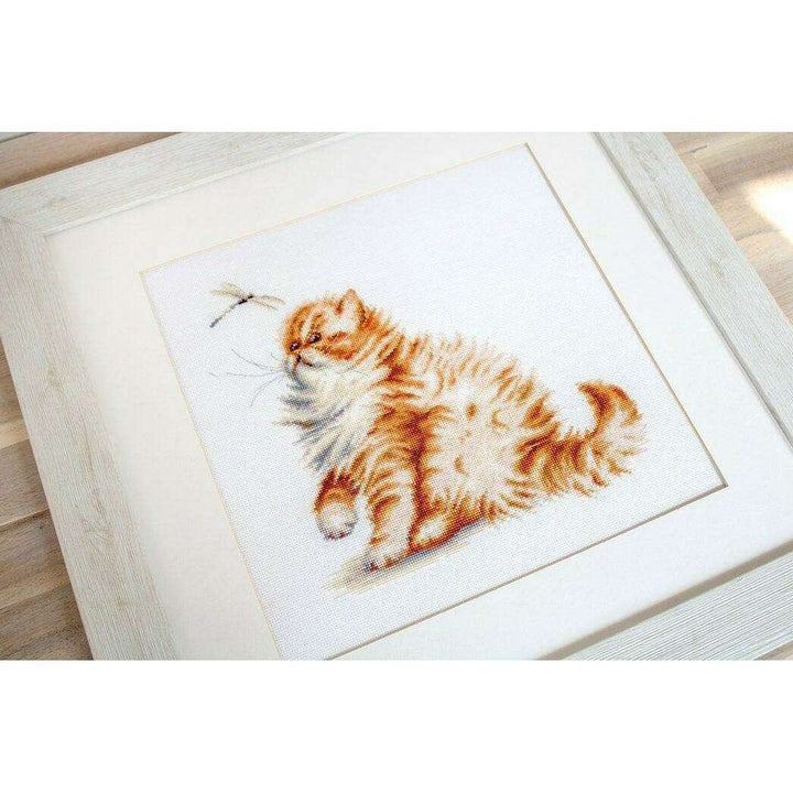 Kitten with a dragonfly B2270L Counted Cross-Stitch Kit