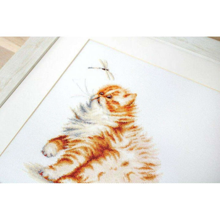 Kitten with a dragonfly B2270L Counted Cross-Stitch Kit