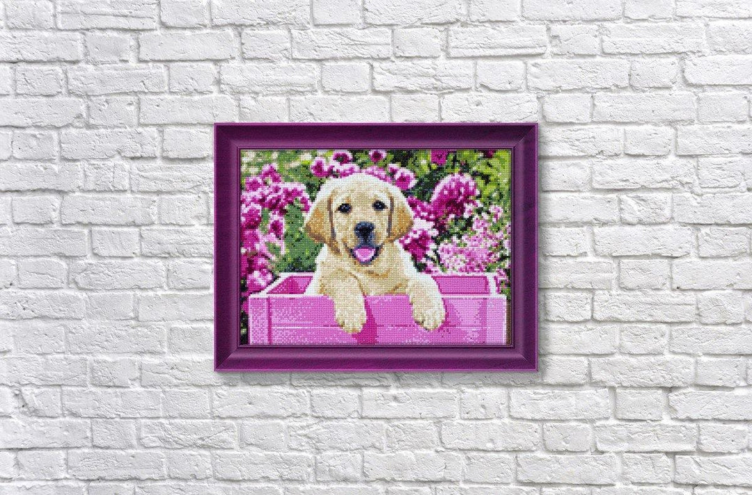 Labrador Puppy in Pink Box CS2414 Crafting Spark Diamond Painting Kit