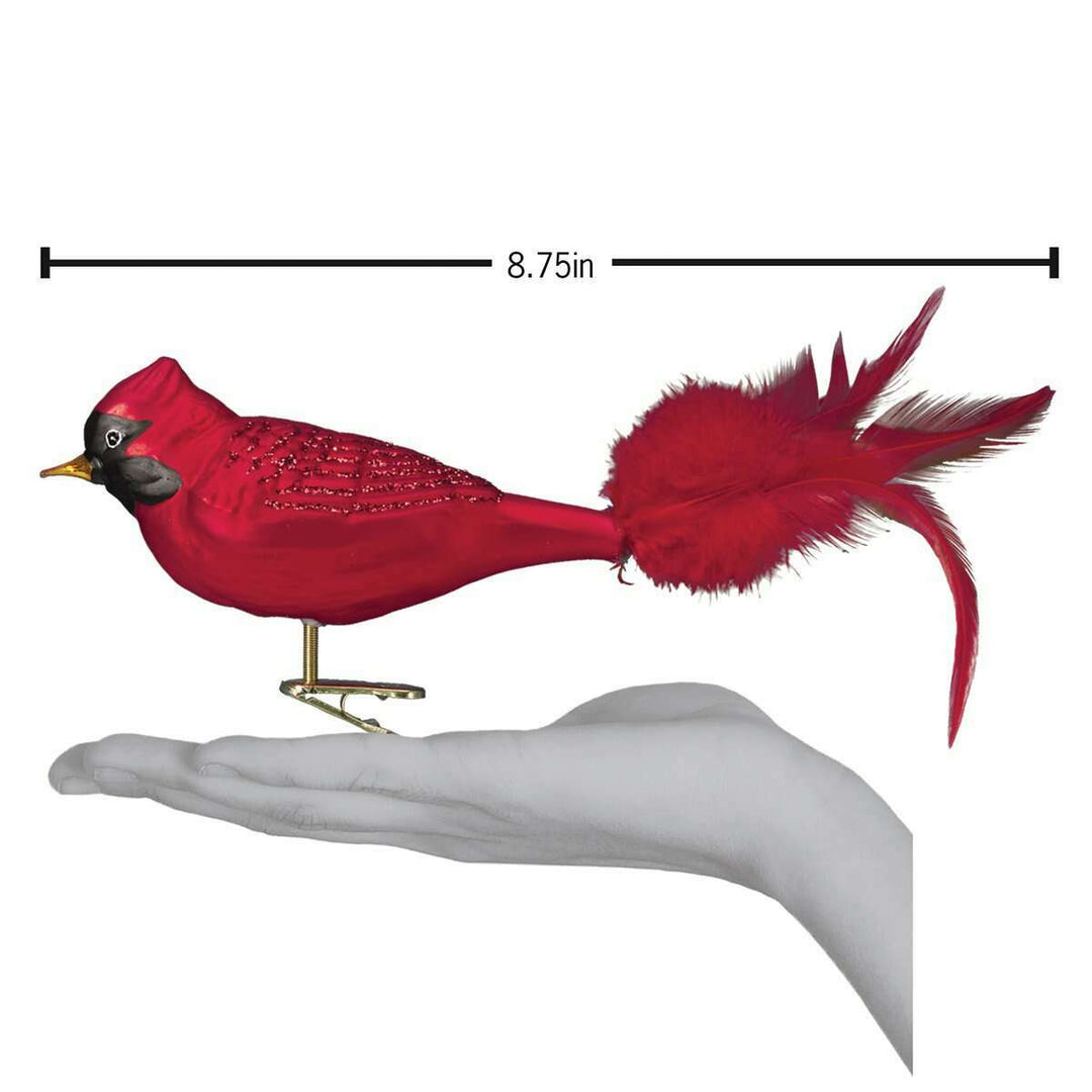 Old World Christmas Large Red Cardinal Blown Glass Ornament
