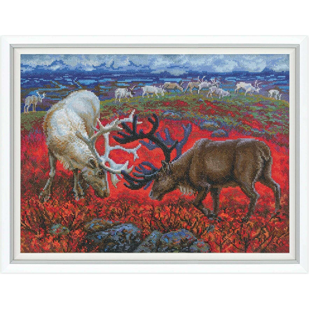 Law of the tundra M1014 Counted Cross Stitch Kit