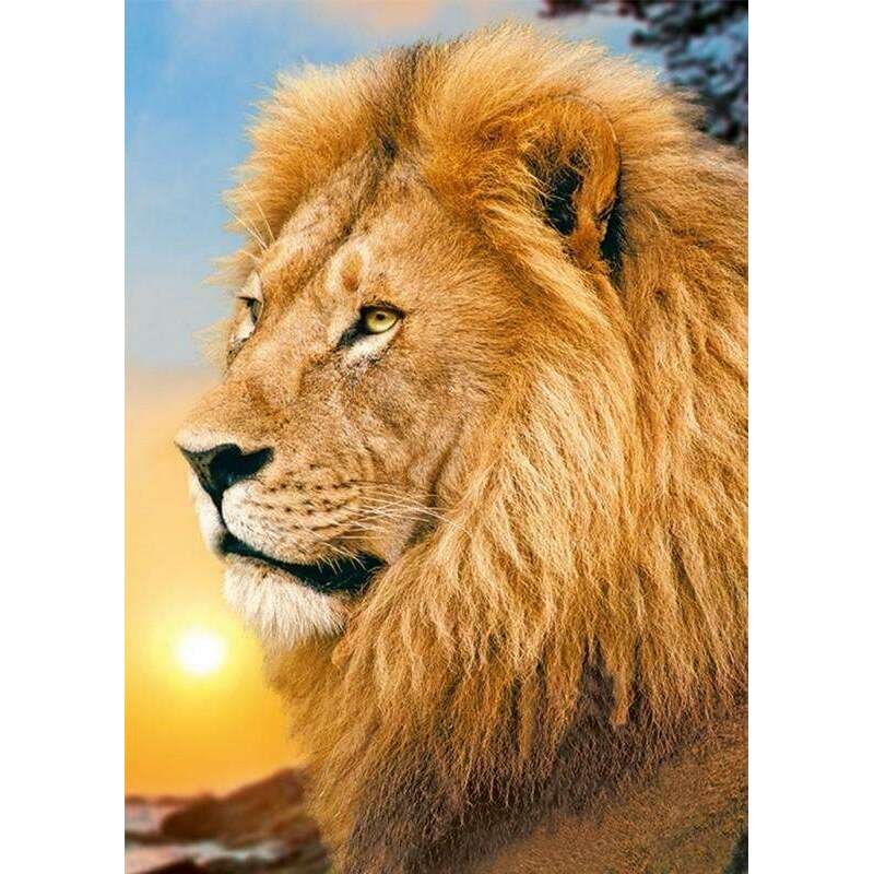 Lion King WD070 10.6 x 14.9 inches Wizardi Diamond Painting Kit