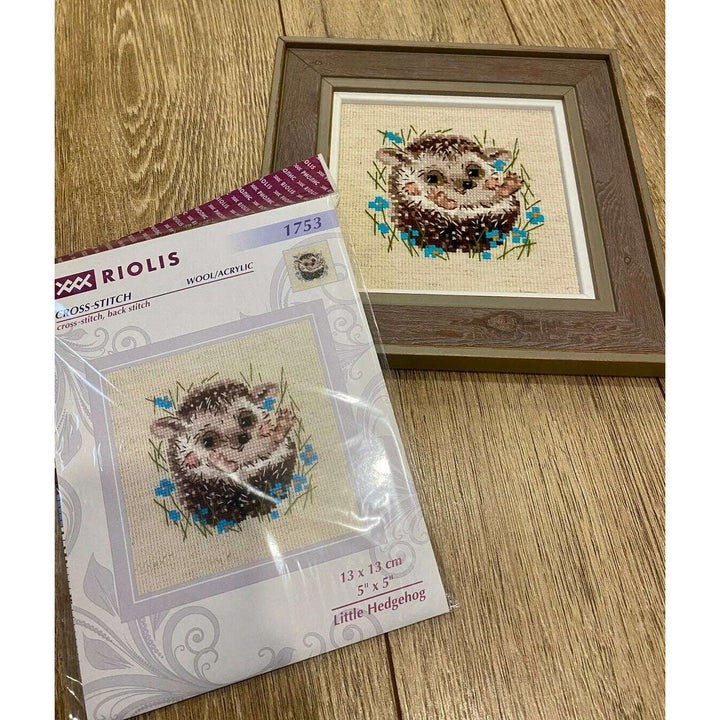 Little Hedgehog R1753 Counted Cross Stitch Kit