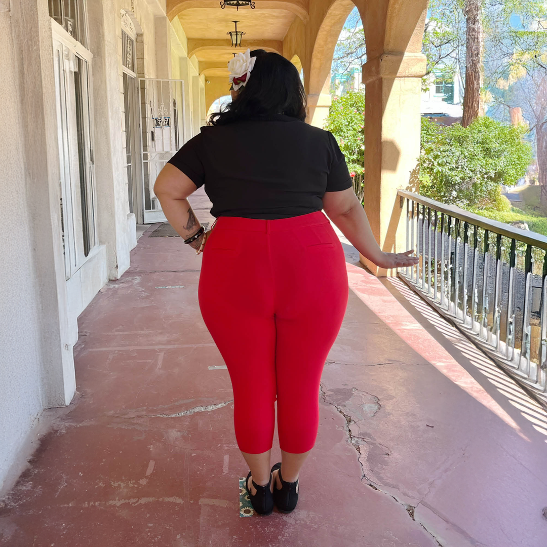 Luisa High-Waisted Capri Pant