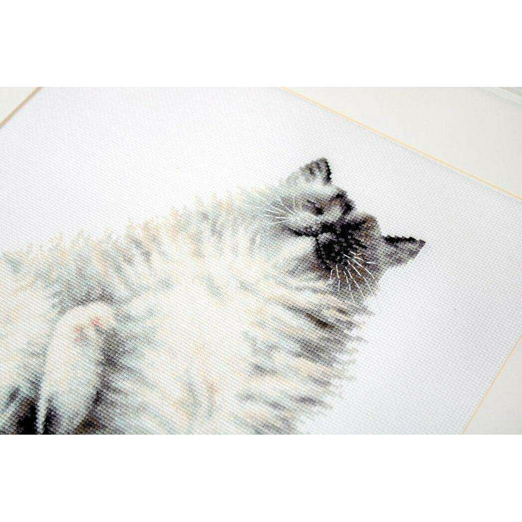 Micky B2269L Counted Cross-Stitch Kit