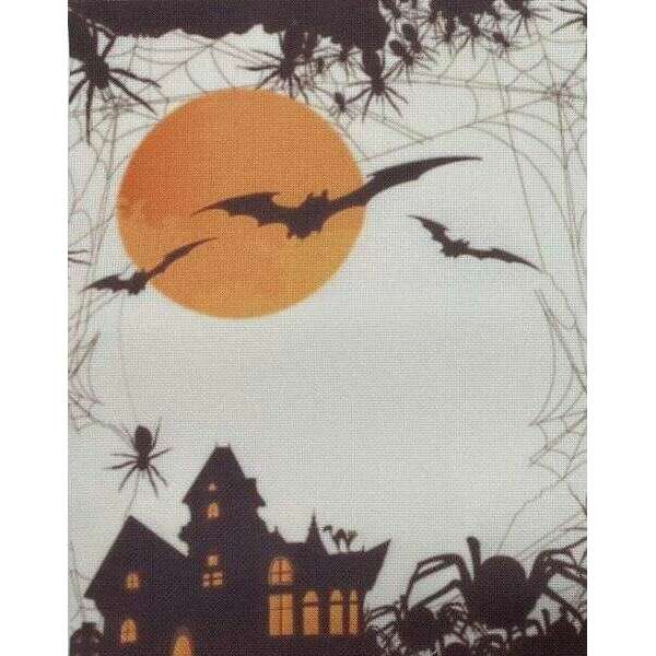 Midnight Flight Designer Printed AIDA Fabric. Canvas for embroidery with an applied background  KF-1378A