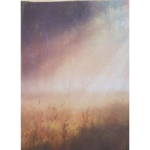 Misty Morning Designer Printed AIDA Fabric. Canvas for embroidery with an applied background  KF-1055A