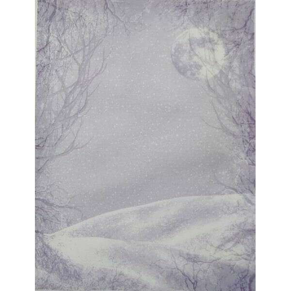 Moonlit Snow Designer Printed AIDA Fabric. Canvas for embroidery with an applied background  KF-1288A