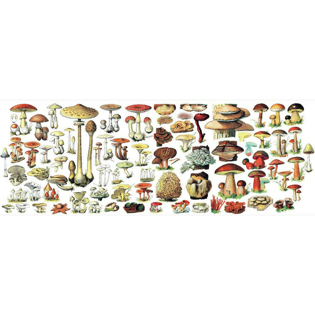 Mushrooms Mug