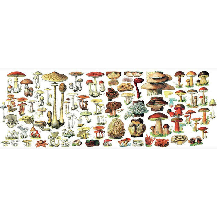 Mushrooms Mug