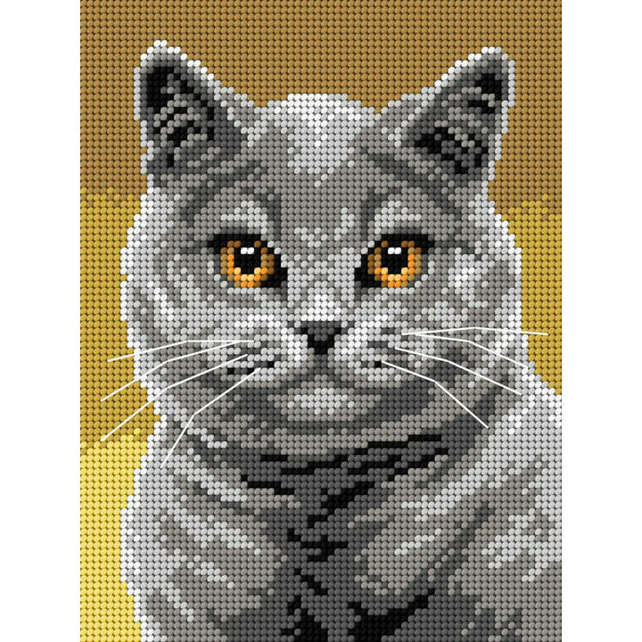 Needlepoint canvas for halfstitch without yarn British Shorthair 3356F