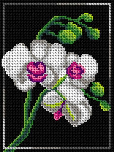 Needlepoint canvas for halfstitch without yarn Orchid 3010F - Printed Tapestry Canvas