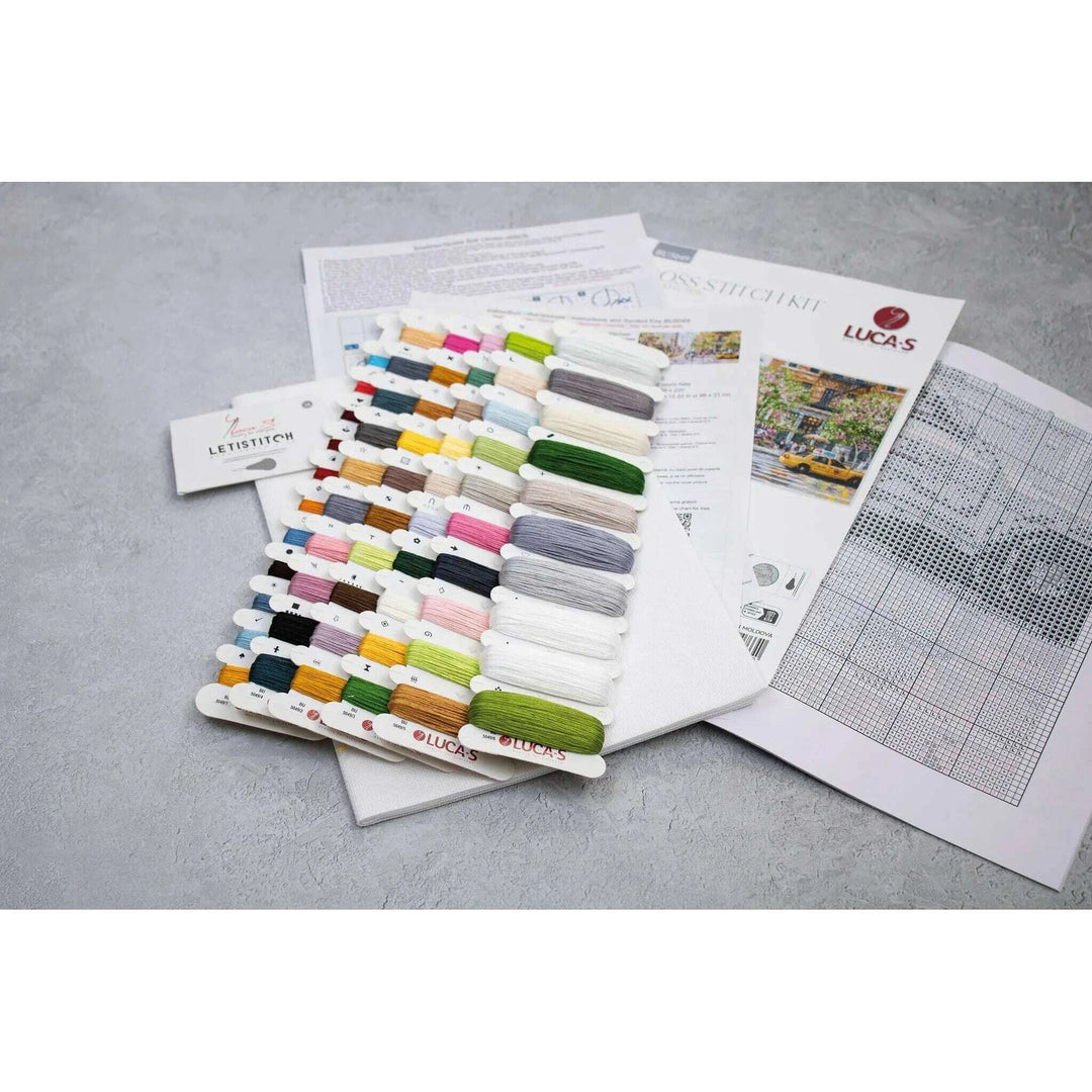 New York BU5049L Counted Cross-Stitch Kit