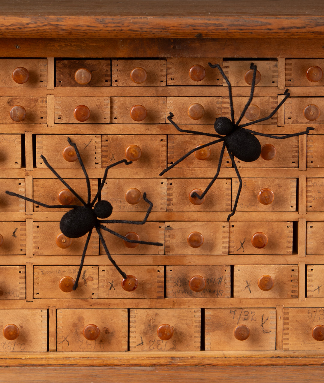 Black Flocked Creepy Crawler by Bethany Lowe Designs, image 3