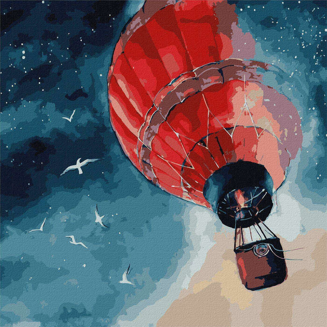 Painting by Numbers kit An air miracle KHO9548