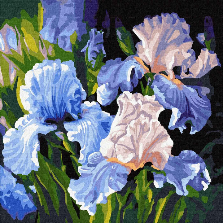 Painting by Numbers kit Bright irises KHO3190