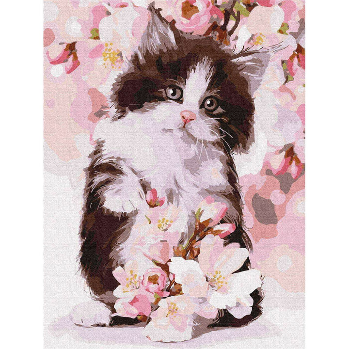 Painting by Numbers kit Cute kitten KHO4383