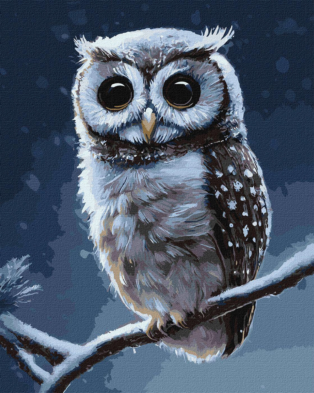 Painting by Numbers kit Forest owl KHO4457
