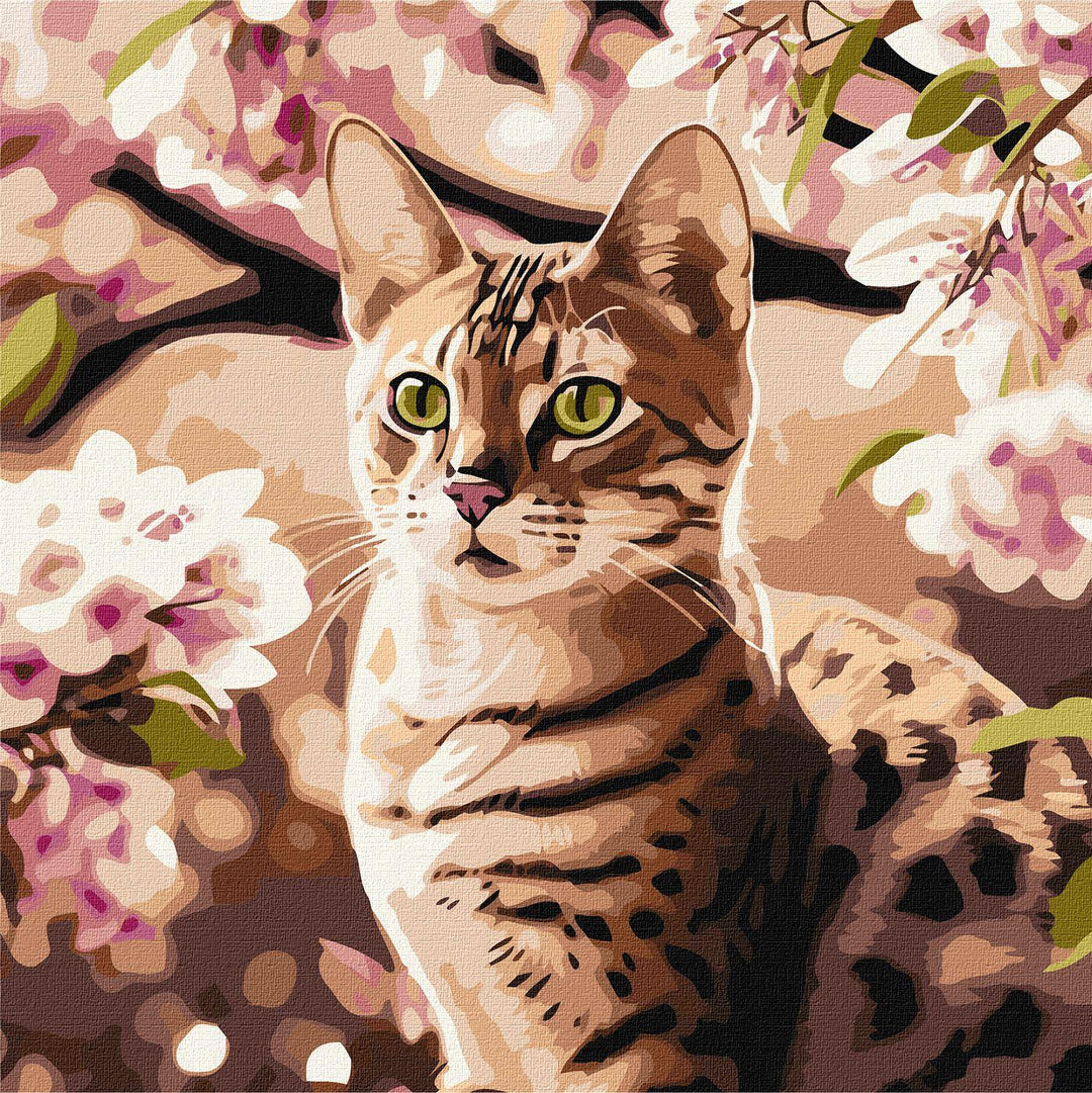 Painting by Numbers kit Kitten in the garden KHO6513