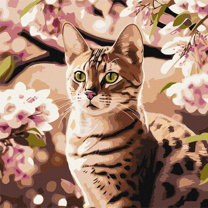 Painting by Numbers kit Kitten in the garden KHO6513