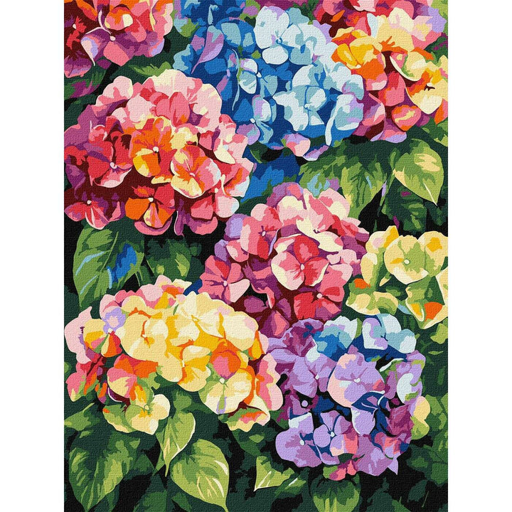 Painting by Numbers kit Multicolored hydrangeas KHO3299