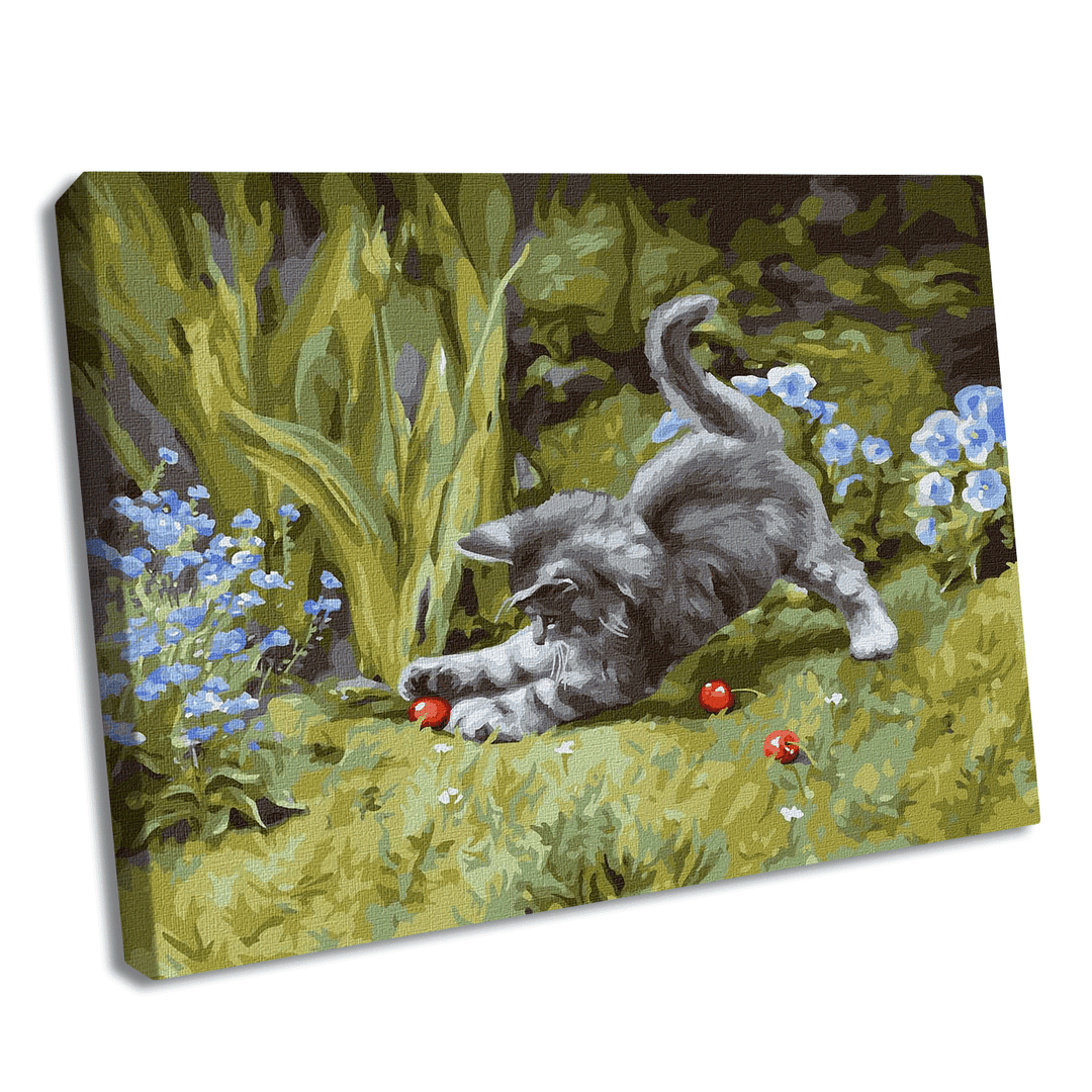 Painting by Numbers kit Playful kitten KHO4251