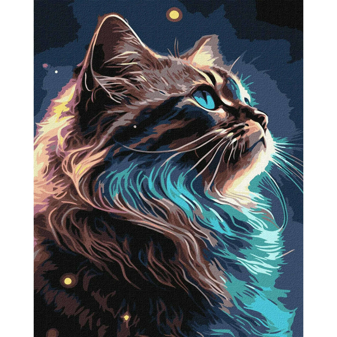 Painting by Numbers kit The magic of space KHO6549