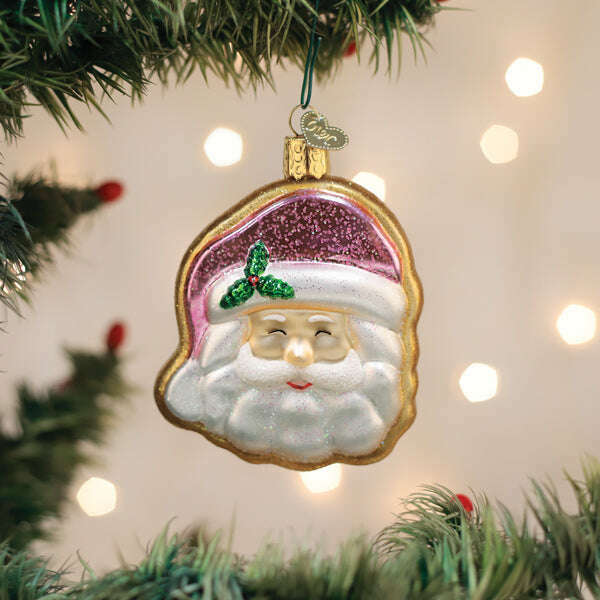 Old World Christmas Papa Noel Sugar Cookie Blown Glass Ornament