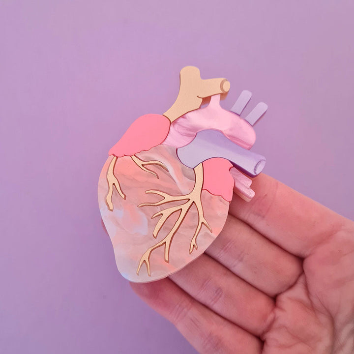 Pastel Anatomical Heart Brooch by Cherryloco Jewellery 3