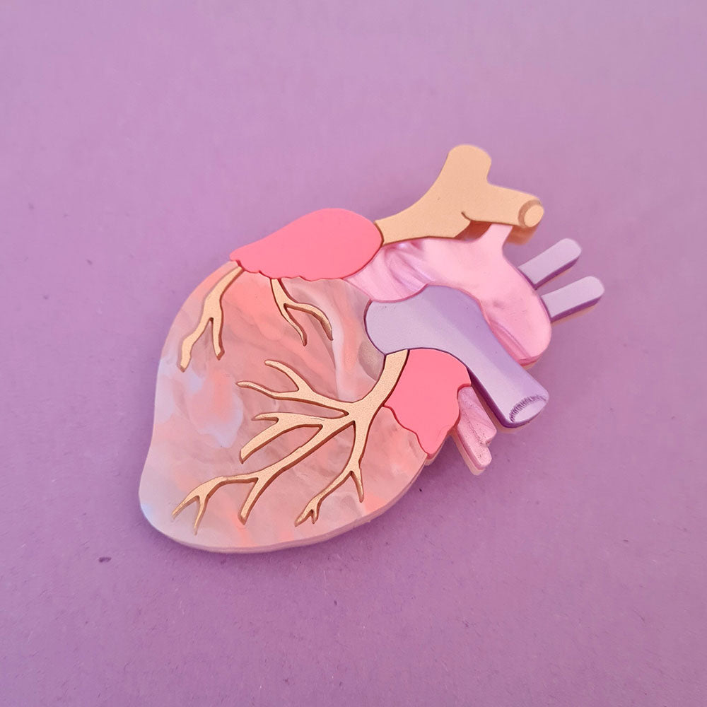 Pastel Anatomical Heart Brooch by Cherryloco Jewellery 4