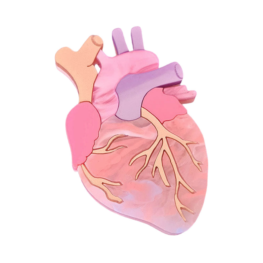 Pastel Anatomical Heart Brooch by Cherryloco – Quirks!