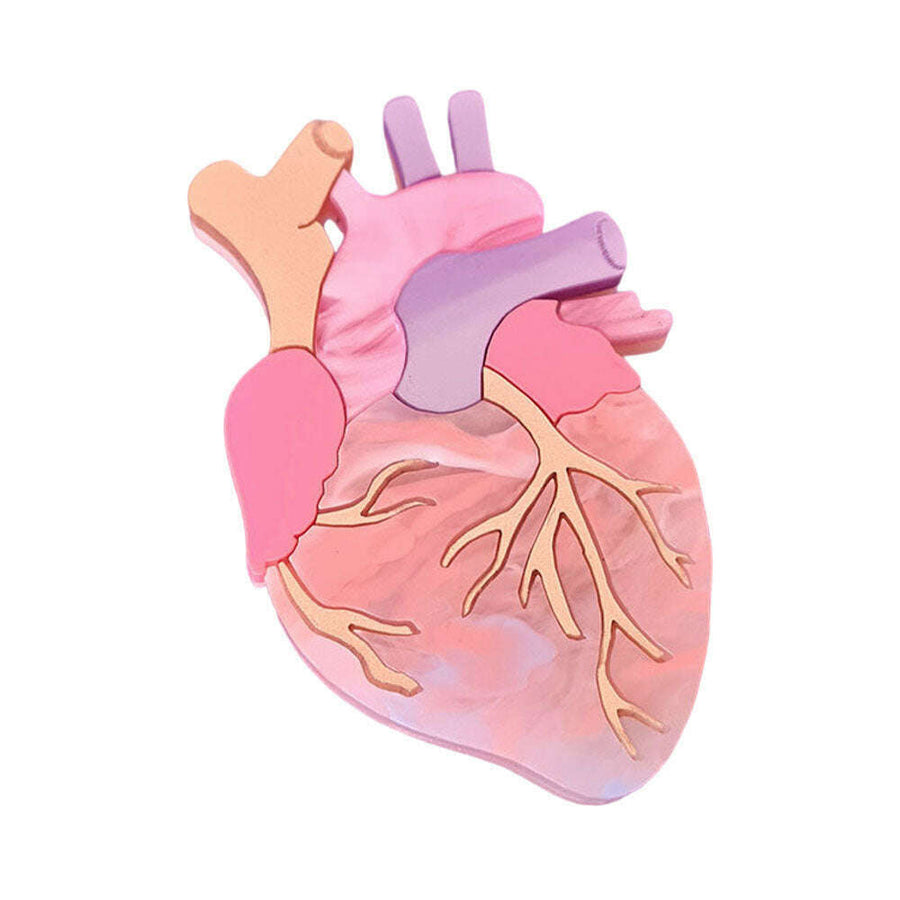 Pastel Anatomical Heart Brooch by Cherryloco Jewellery 1
