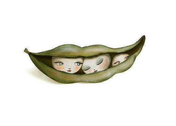 Peas in a Pod Brooch by LaliBlue - Quirks!