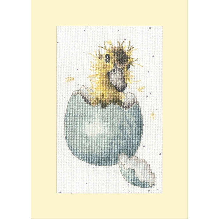 Peek-a-boo XGC48 Counted Cross Stitch Kit