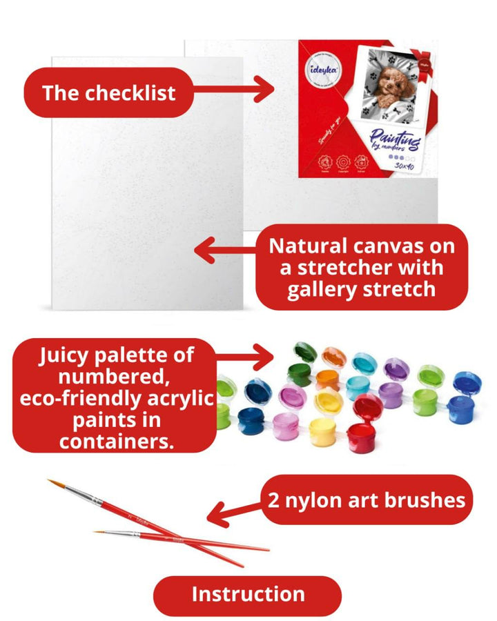 Painting by Numbers kit The magic of space KHO6549