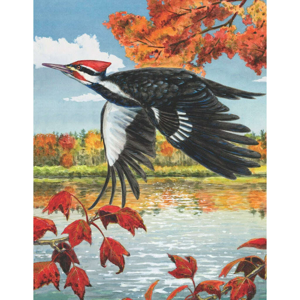 Pileated Woodpecker Mini Jigsaw Puzzle