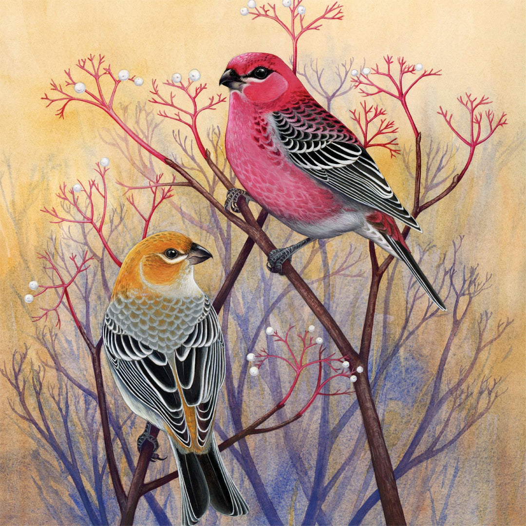 Pine Grosbeaks Jigsaw Puzzle