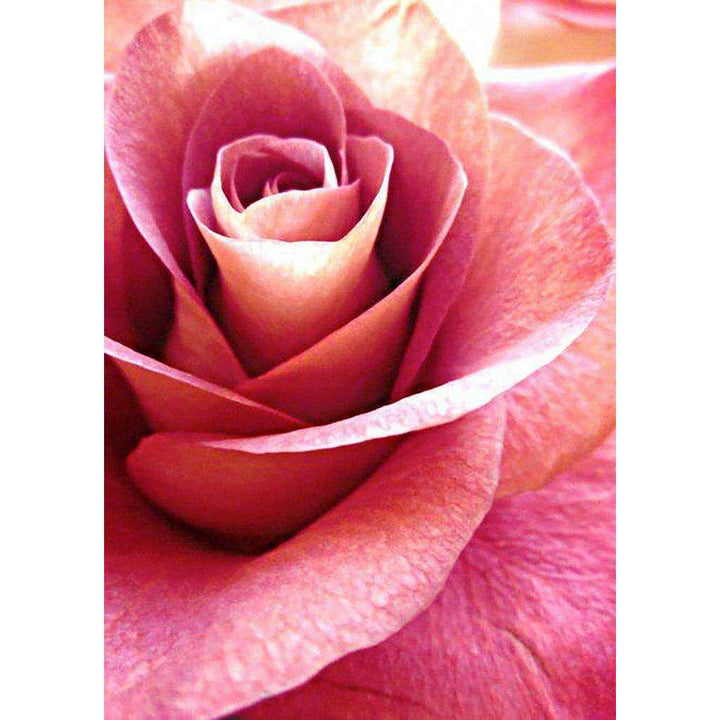 Pink Rose CS019 11.81 x 15.75 inches Crafting Spark  Diamond Painting Kit