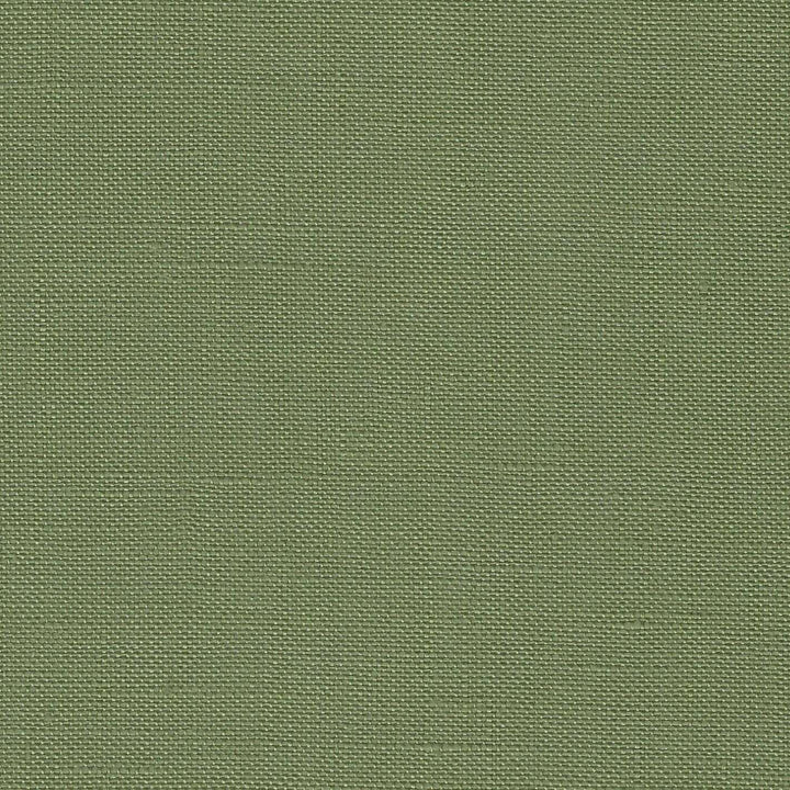 Precut Edinburgh  36 count Agave 3217/6018