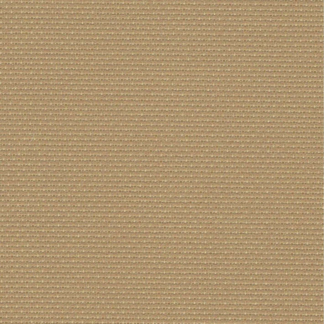 Precut Stern-Aida 14 count Dirty 3706/300