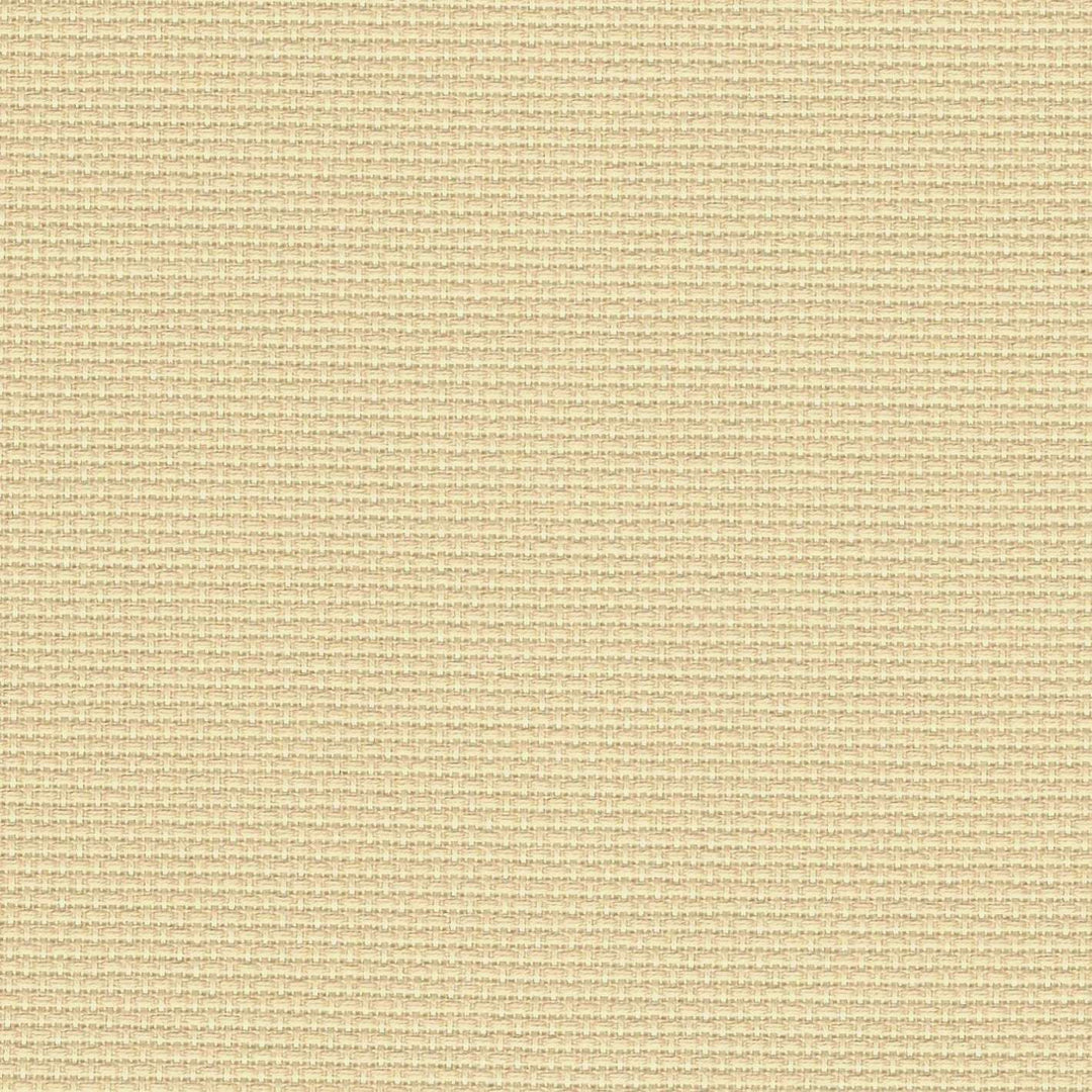 Precut Stern-Aida 14 count Light beige 3706/3130