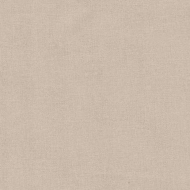 Precut  Zweigart Murano 32 count Platinum 3984/770